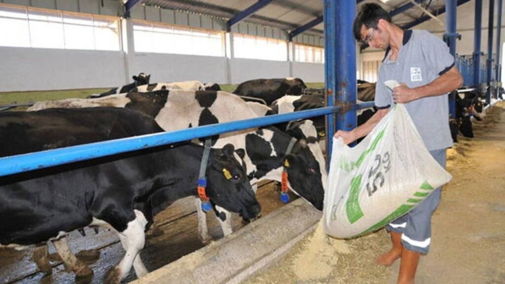 Et ve Canlı Hayvan İthalatına Dokuz Ayda Milyarlarca Dolar Harcandı